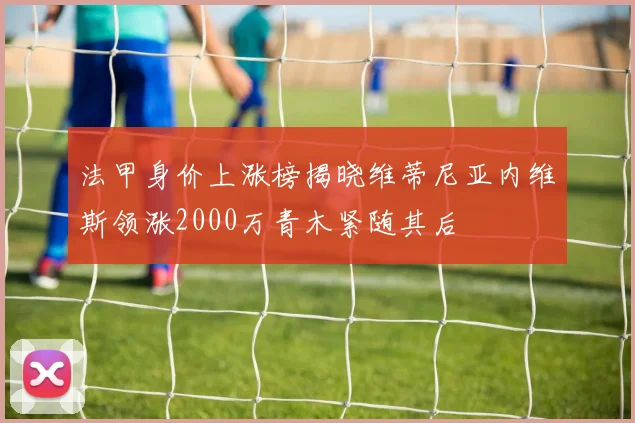 法甲身价上涨榜揭晓维蒂尼亚内维斯领涨2000万青木紧随其后