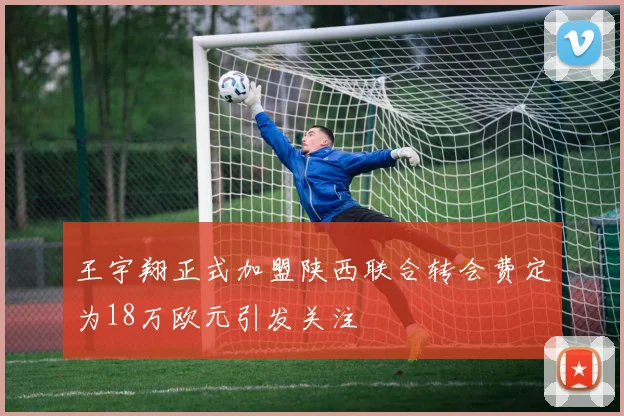 王宇翔正式加盟陕西联合转会费定为18万欧元引发关注