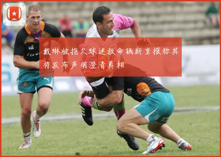 戴琳被指欠球迷救命钱新京报称其将发布声明澄清真相