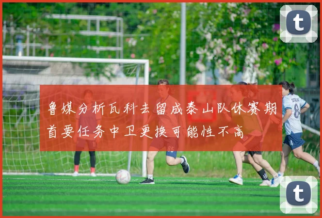 鲁媒分析瓦科去留成泰山队休赛期首要任务中卫更换可能性不高